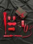 HARNESS SET - Scarlet Secret